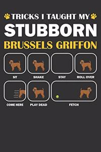 Brussels Griffon Journal