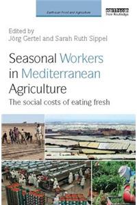 Seasonal Workers in Mediterranean Agriculture