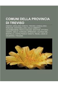 Comuni Della Provincia Di Treviso