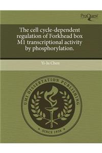 The Cell Cycle-Dependent Regulation of Forkhead Box M1 Transcriptional Activity by Phosphorylation