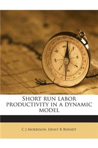 Short Run Labor Productivity in a Dynamic Model