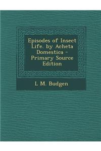 Episodes of Insect Life. by Acheta Domestica