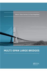 Multi-Span Large Bridges