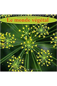 Monde Vegetal 2017