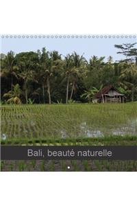 Bali, beaute naturelle 2017