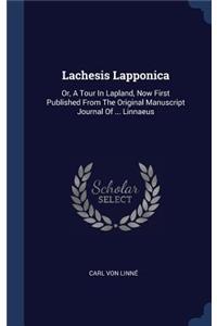 Lachesis Lapponica