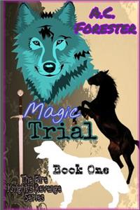 Magic Trial