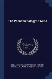 The Phenomenology Of Mind