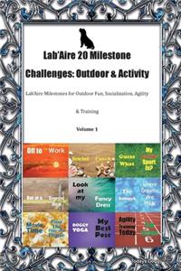 Lab'Aire 20 Milestone Challenges