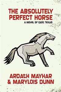 Absolutely Perfect Horse