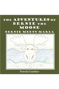 The Adventures of Bernie the Moose