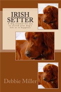 Irish Setter