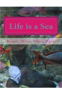 Life is a Sea