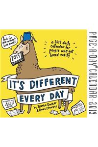 It's Different Every Day Page-A-Day Calendar 2019