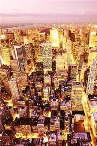 Beautiful Birds Eye City Scenery 150 Page Lined Journal