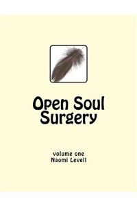 Vol. 1, Open Soul Surgery, large print edition