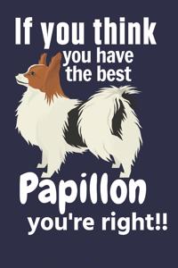 If you think you have the best Papillon you're right!!