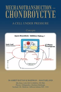 Mechanotransduction - Chondroyctye