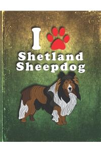 Shetland Sheepdog