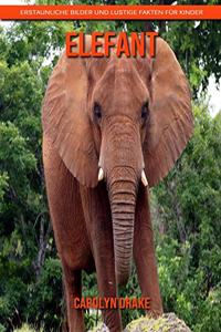 Elefant