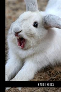 Rabbit Notes