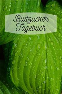 Blutzucker Tagebuch