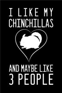 I Like My Chinchillas And Maybe Like 3 People