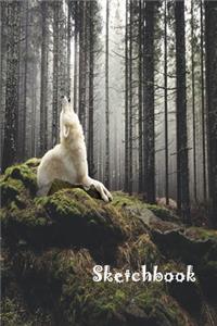 Sketchbook