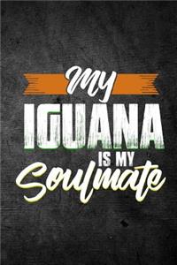 My Iguana Is My Soulmate