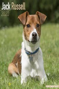 Jack Russell Calendar 2020