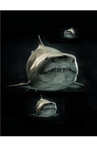 Great White Sharks Notebook Journal 150 Page College Ruled Pages 8.5 X 11