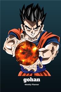 Playing with Dragon Fire Ball 2019 - 2021 Weekly Planner For Men