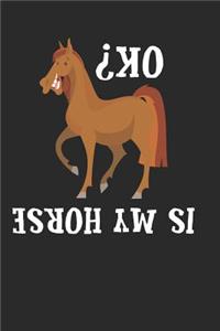 Is My Horse Ok?