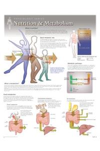 Nutrition & Metabolism Wall Chart