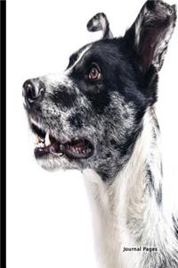 Journal Pages - Dog Profile (Journal Notebook)(Unruled)