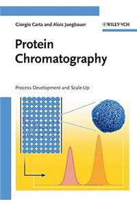 Protein Chromatography - Proce