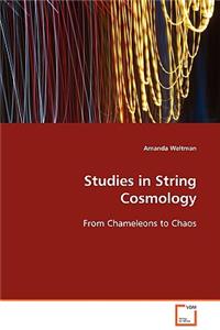 Studies in String Cosmology