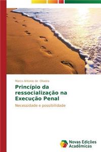 Princípio da ressocialização na Execução Penal