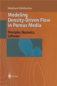Modeling Density-Driven Flow in Porous Media