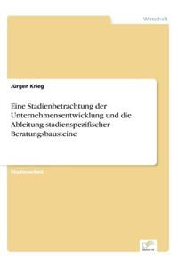 Eine Stadienbetrachtung der Unternehmensentwicklung und die Ableitung stadienspezifischer Beratungsbausteine