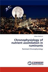 Chronophysiology of Nutrient Assimilation in Ruminants