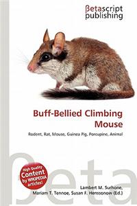 Buff-Bellied Climbing Mouse