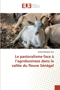 Le pastoralisme face à l'agrobusiness dans la vallée du fleuve Sénégal