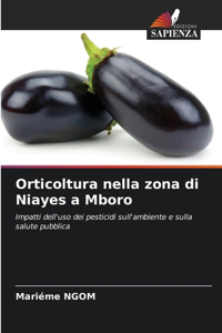 Orticoltura nella zona di Niayes a Mboro