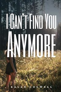 I Can't Find You Anymore