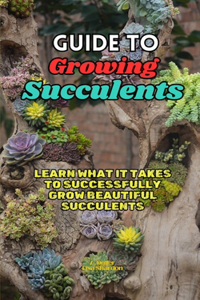 Guide to Growing Succulents