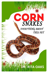 Corn Snakes