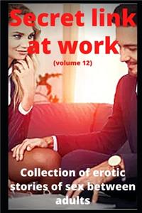Secret link at work (volume 12)