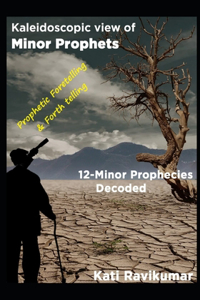Kaleidoscopic View of Minor Prophets