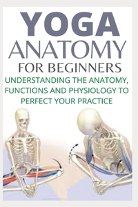 Yoga Anatomy for Beginners